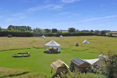 Ling's Meadow Ling's Meadow