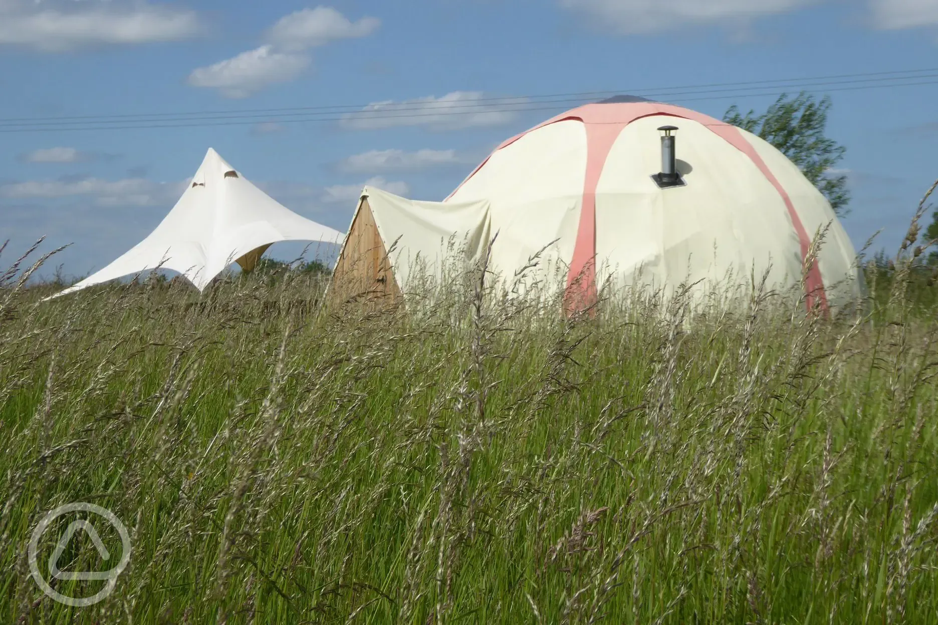 Glamping dome at Ling's Meadow