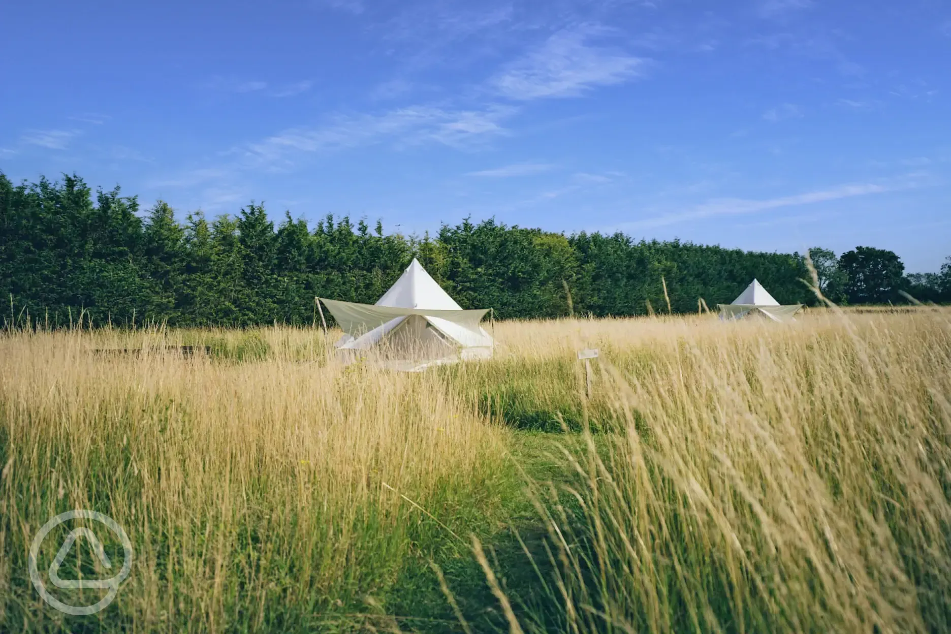 Bell tents 