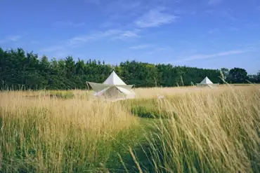 Bell tents 