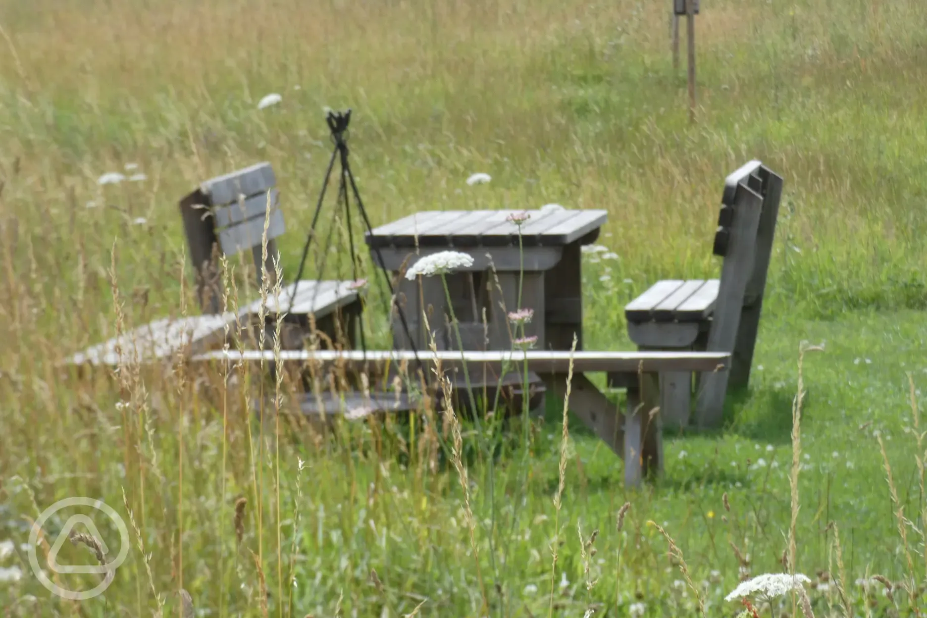 Benches and fire pits