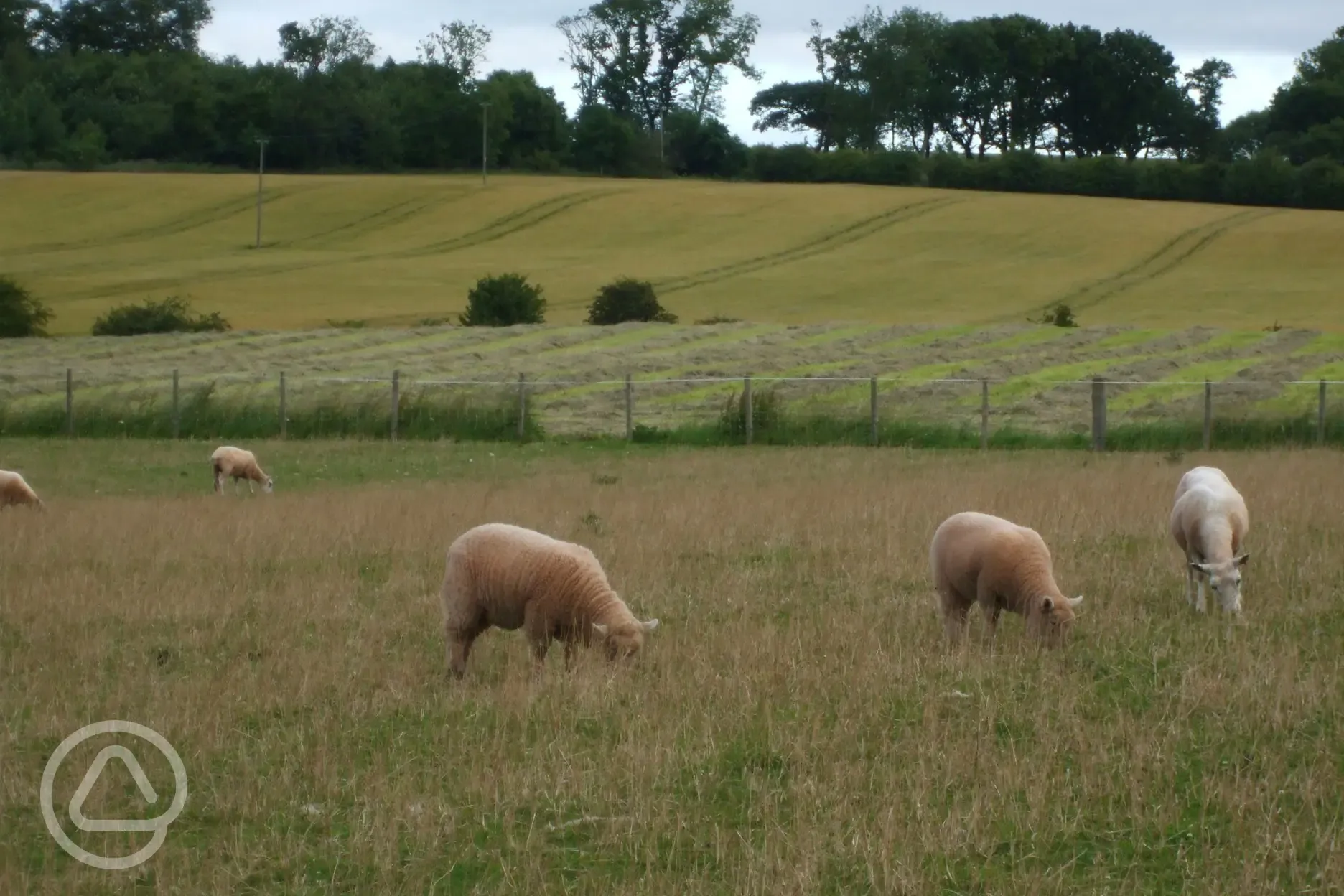 open views across fields Shepherd's Rest