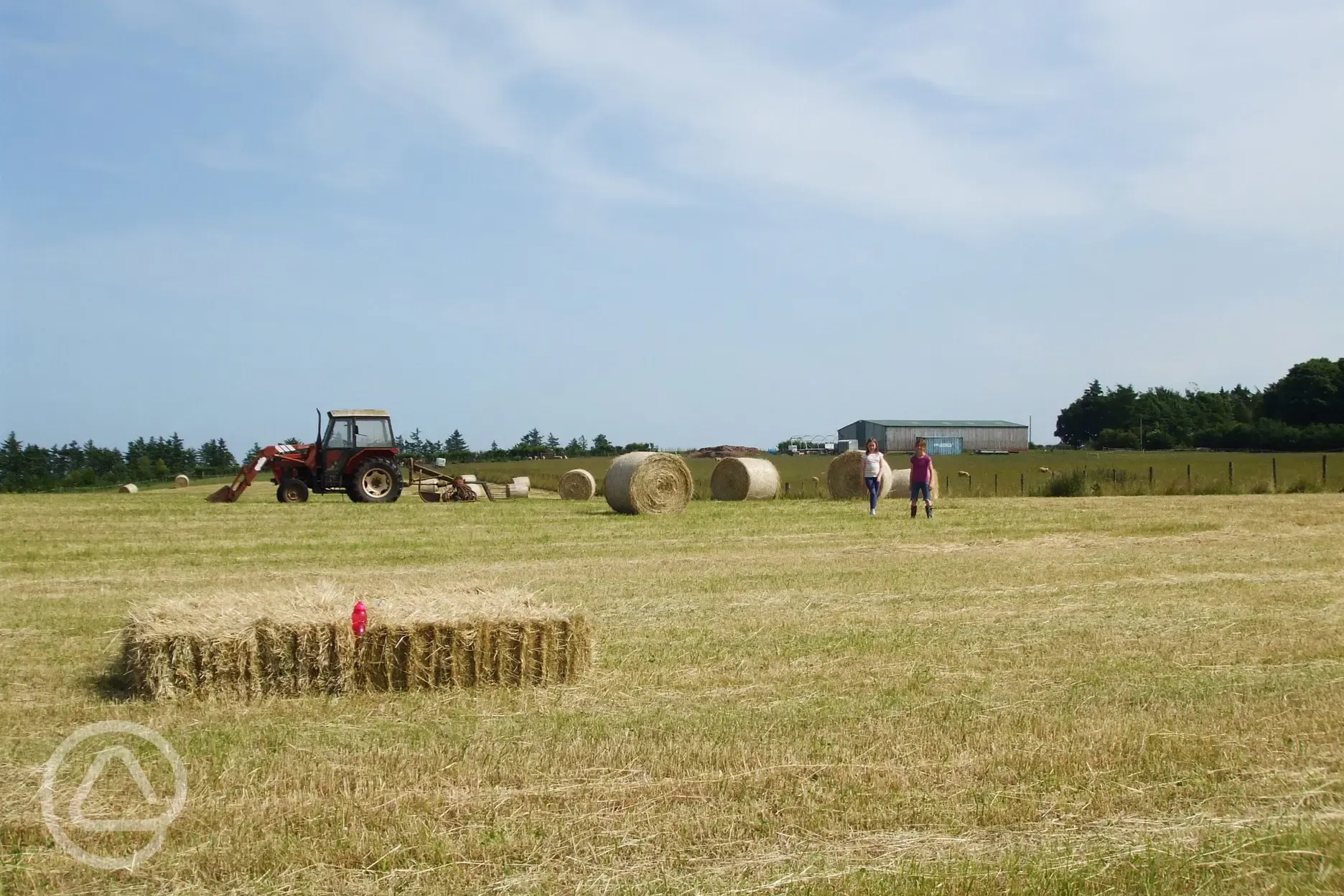 Working farm