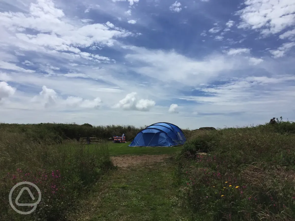 Secluded pitch at Dunes at Whitesands Camping