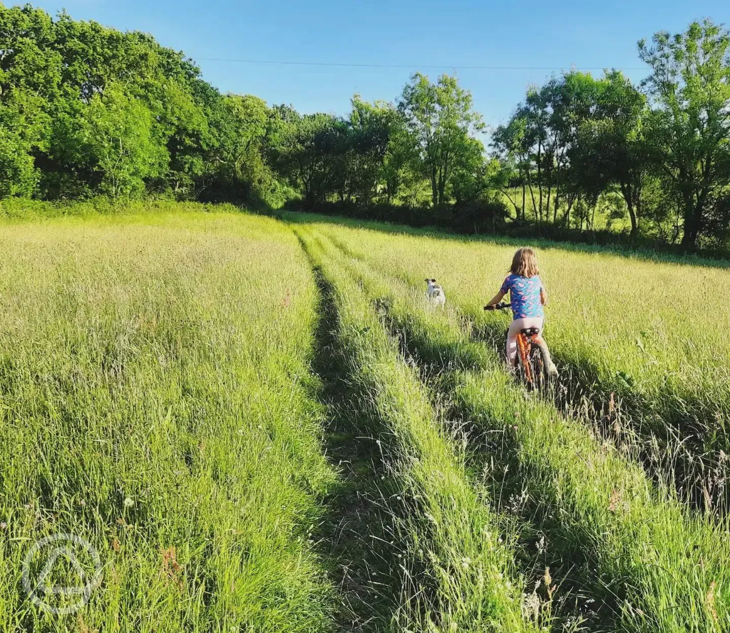 Cycling in the nearby field