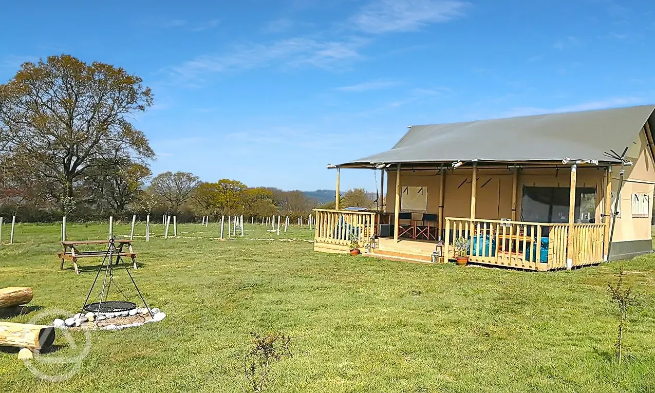 Safari tent 