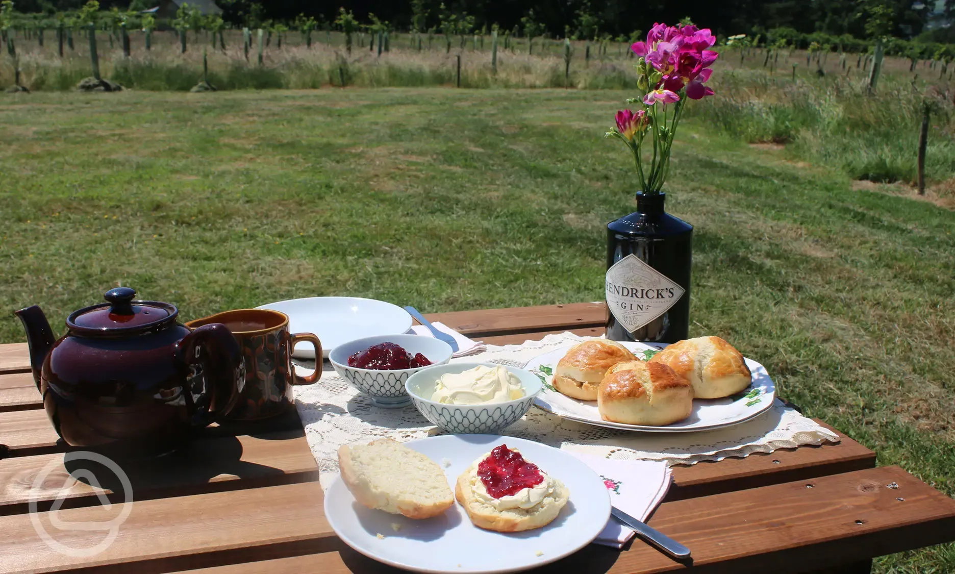 Afternoon tea on the picnic bench
