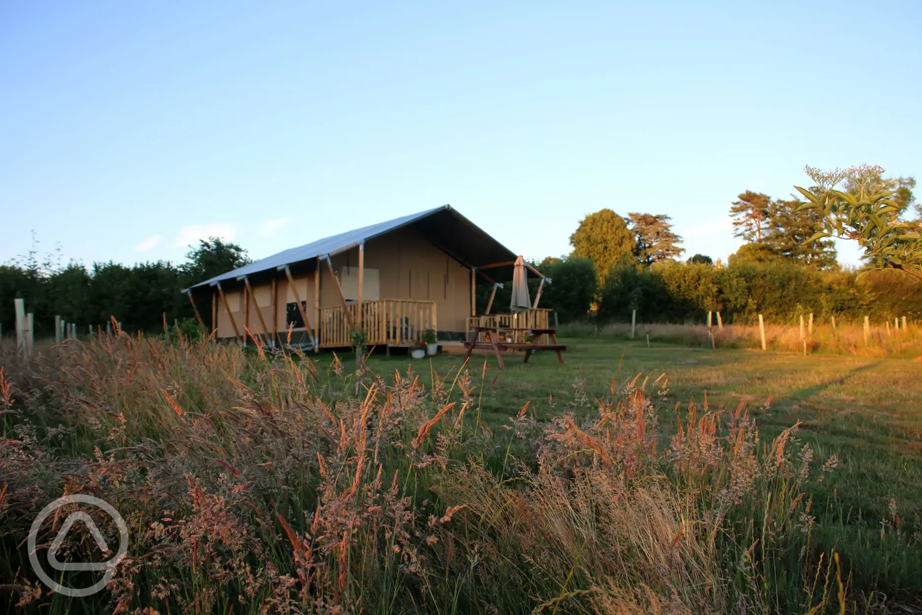 Safari tent