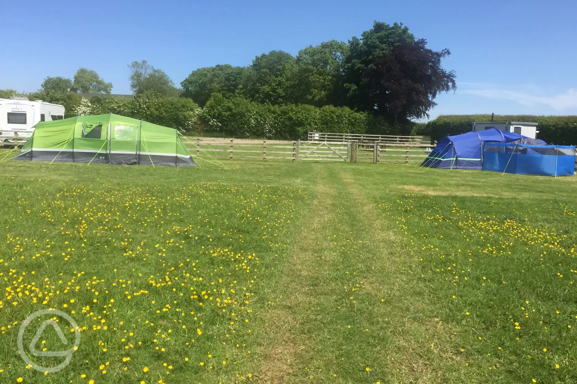 Tent field 