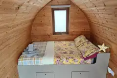 Birch pod interior Birch pod interior