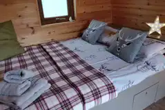 Birch pod interior Birch pod interior