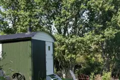 Shepherd's hut Shepherd's hut