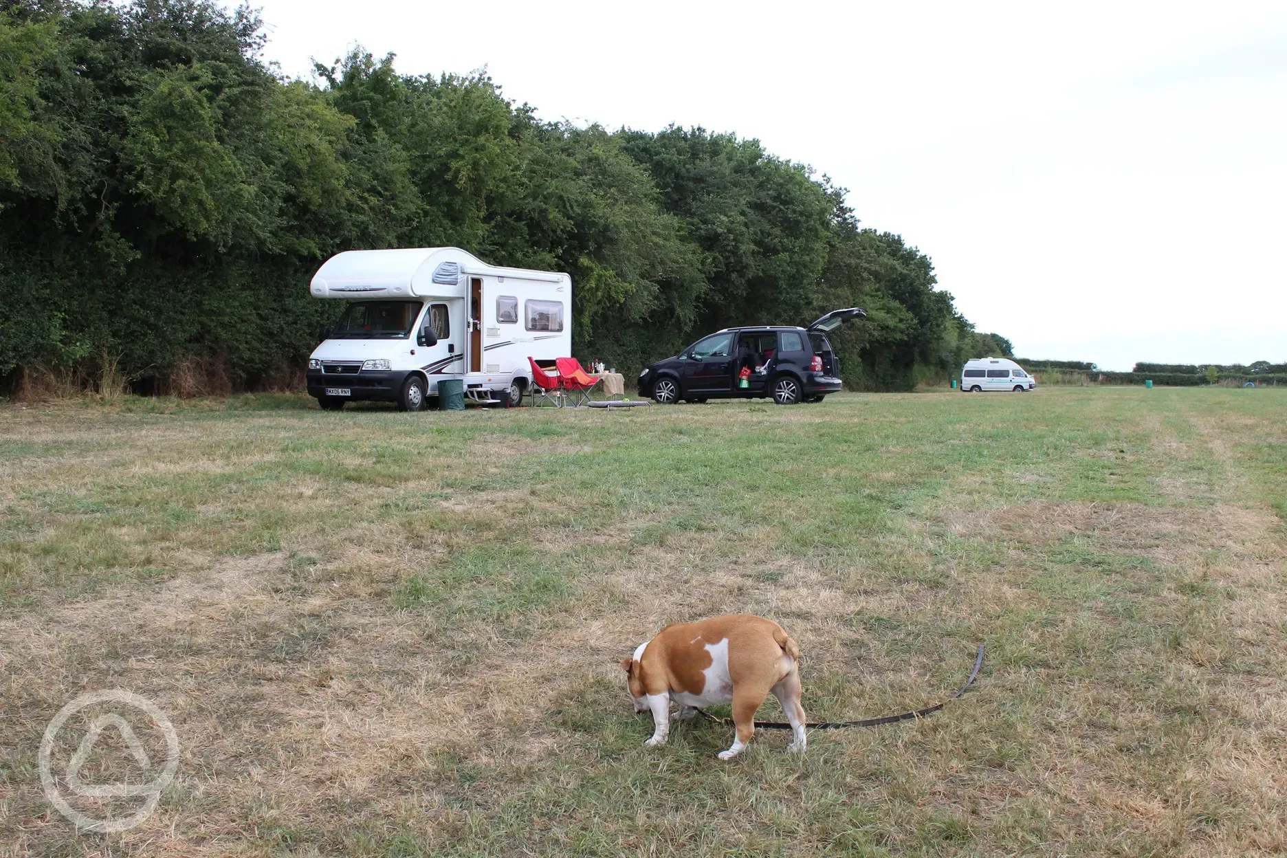 Plenty of Space in the Camping Field