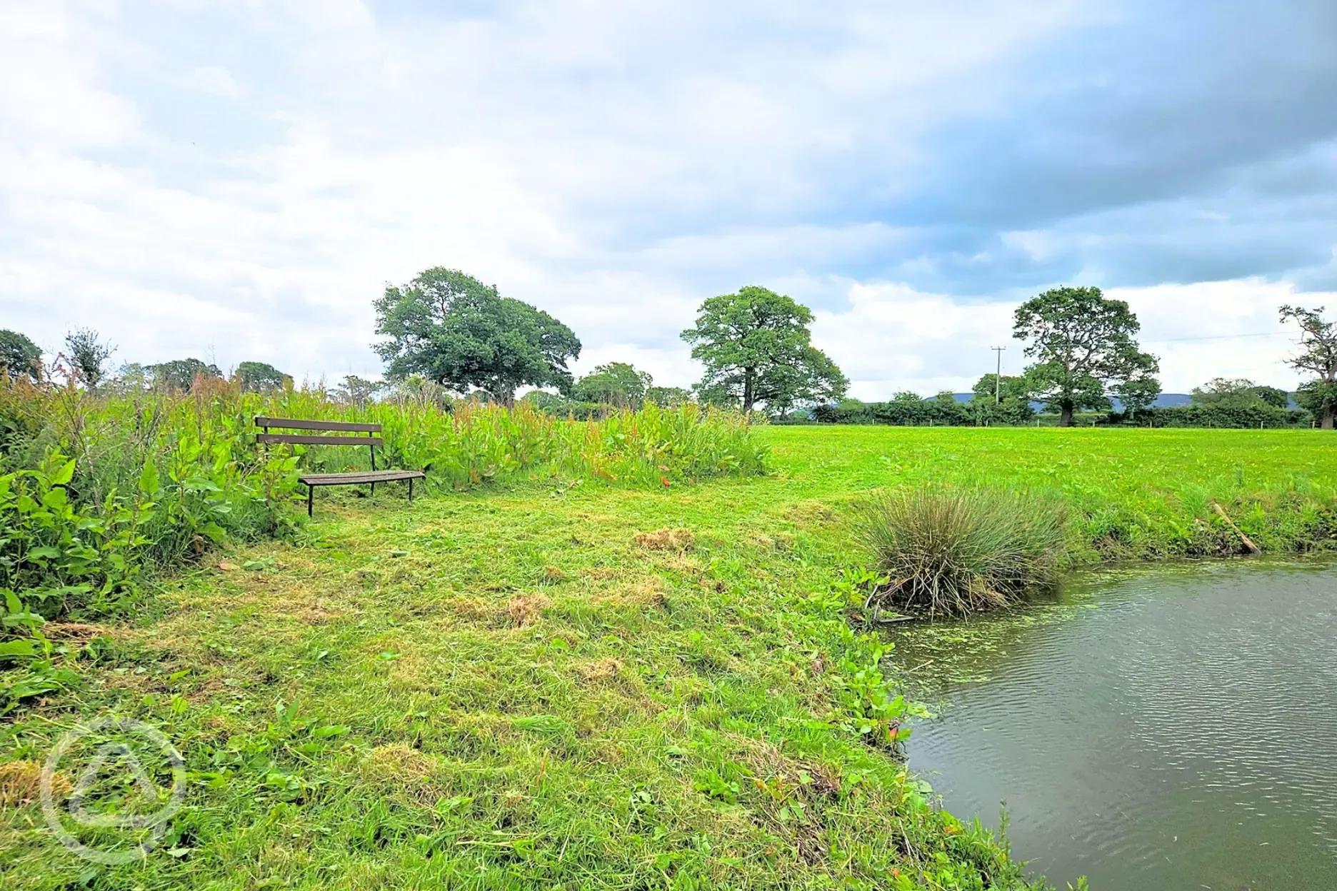Wildlife pond with a bench for picnics
