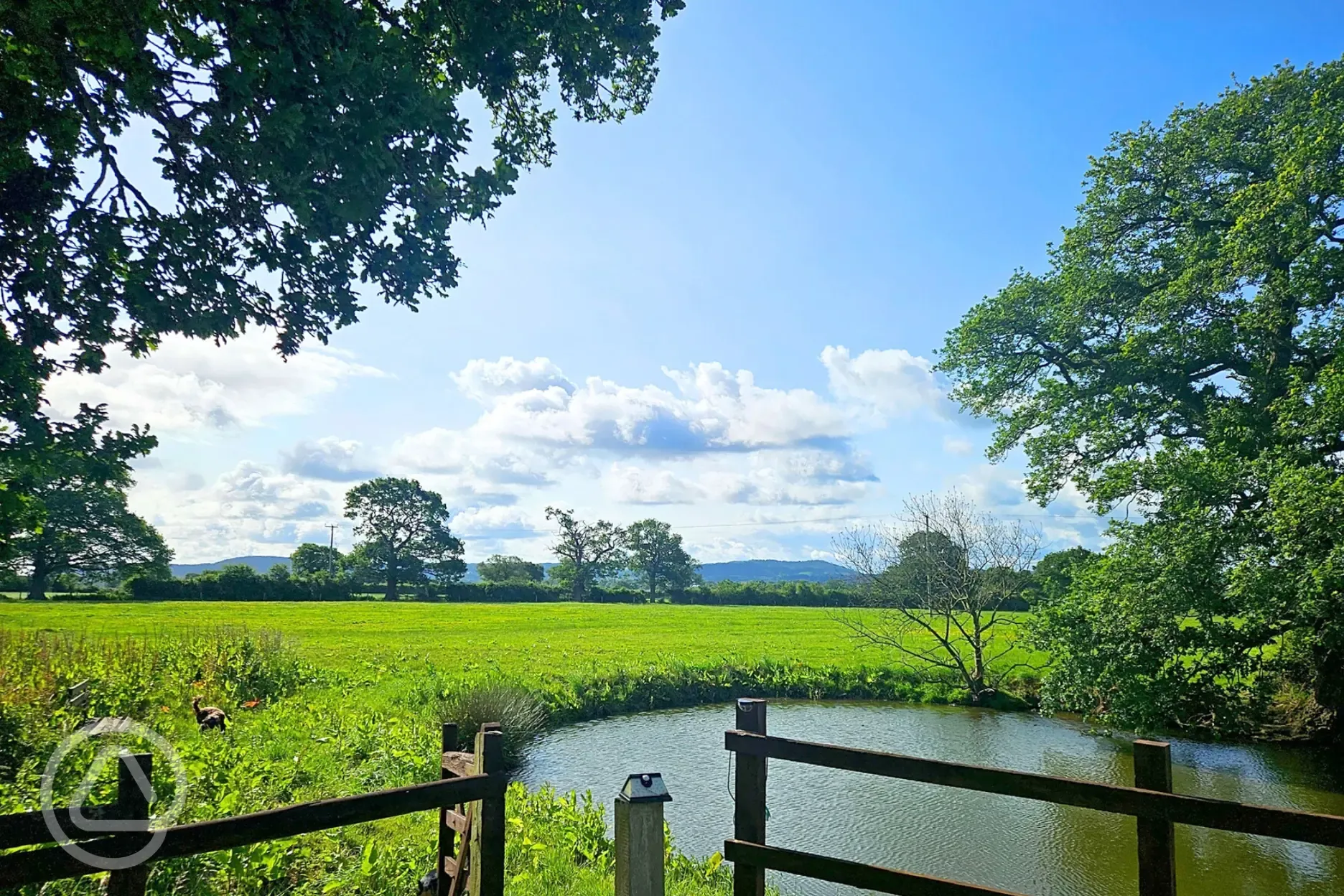 Fenced wildlife pond