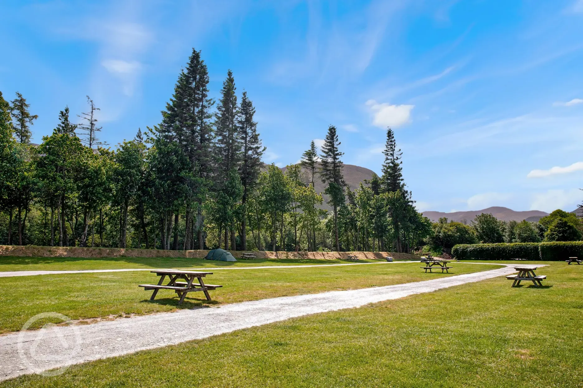 Non electric grass pitches with picnic benches and mountains behind