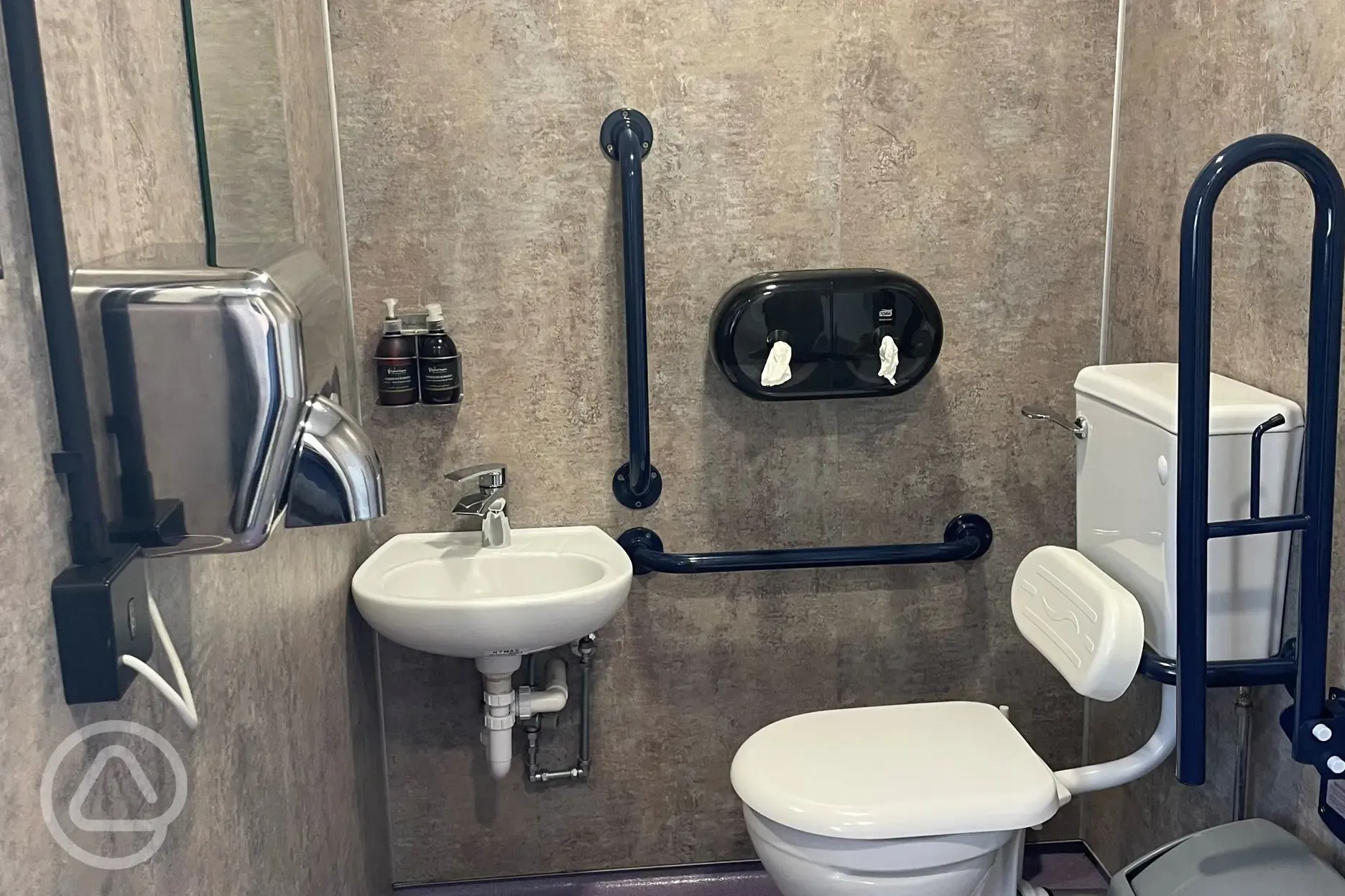 Accessible toilet with handrails