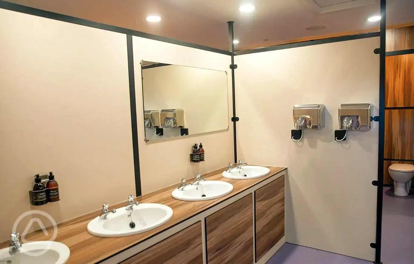 Sinks with mirrors and hairdryers