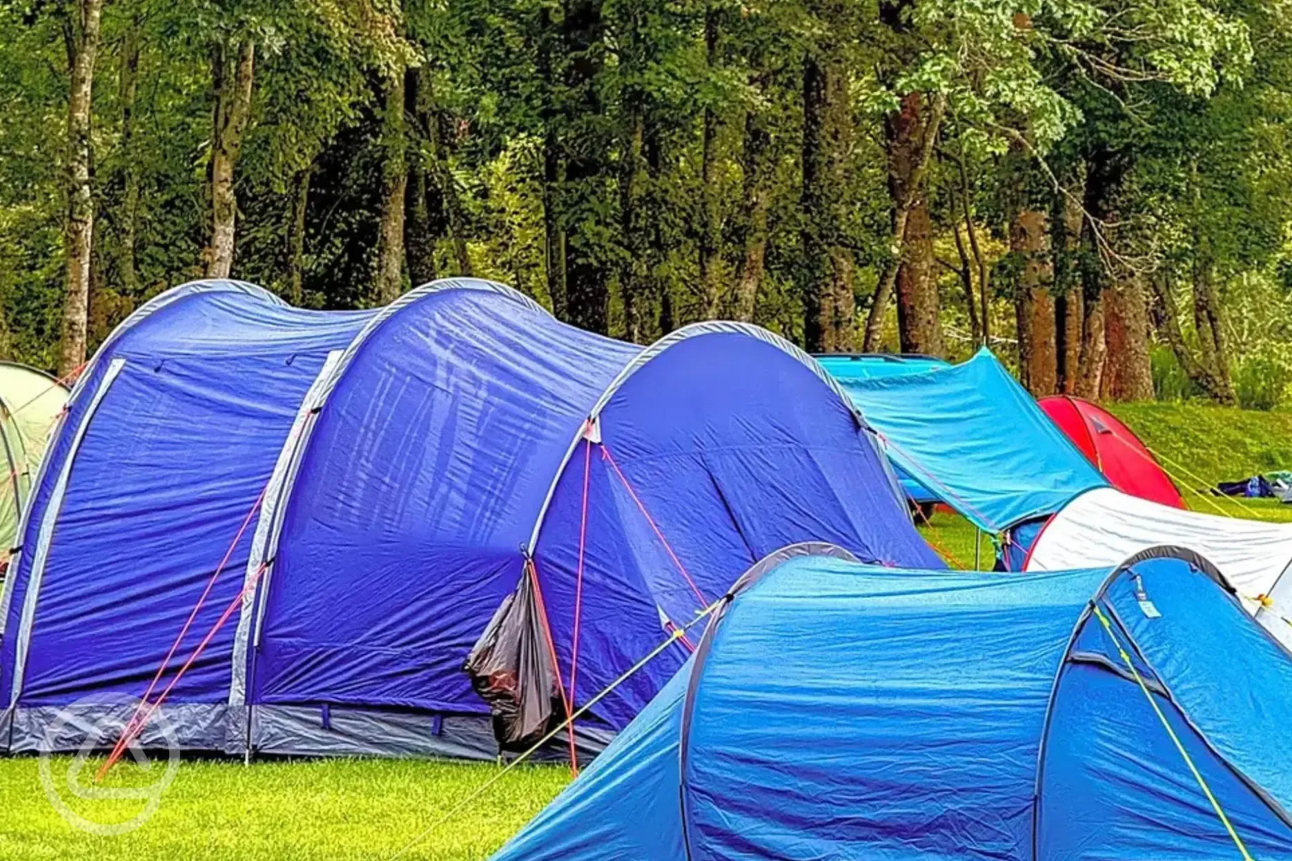 Non electric grass pitches suitable for tents