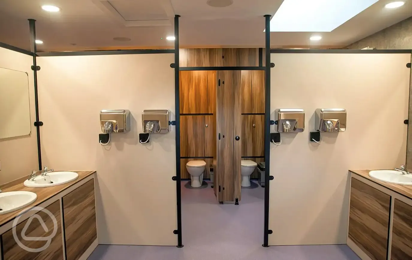 Toilets with sinks, mirrors and hand dryers