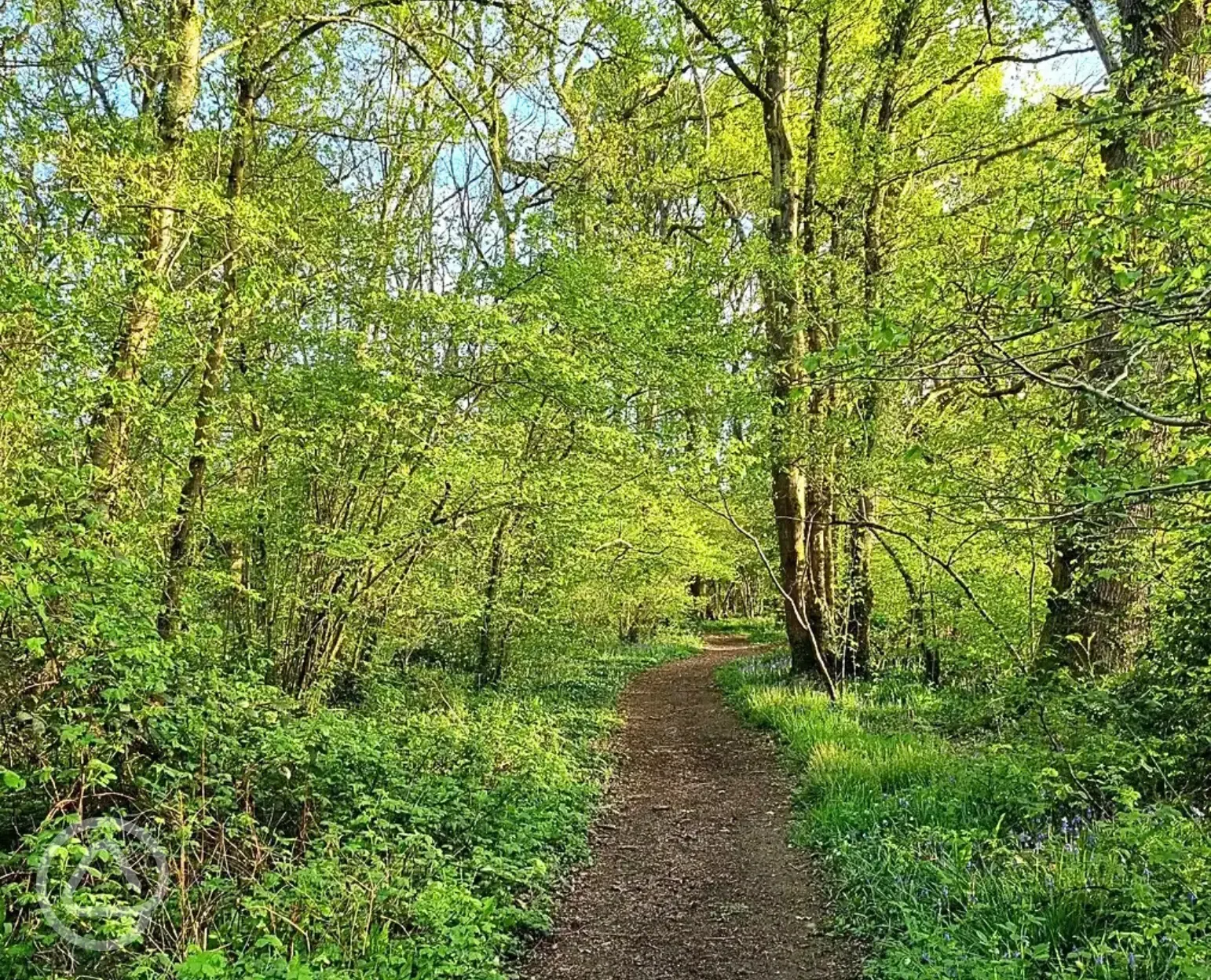 Woodland walks from Dapplewood
