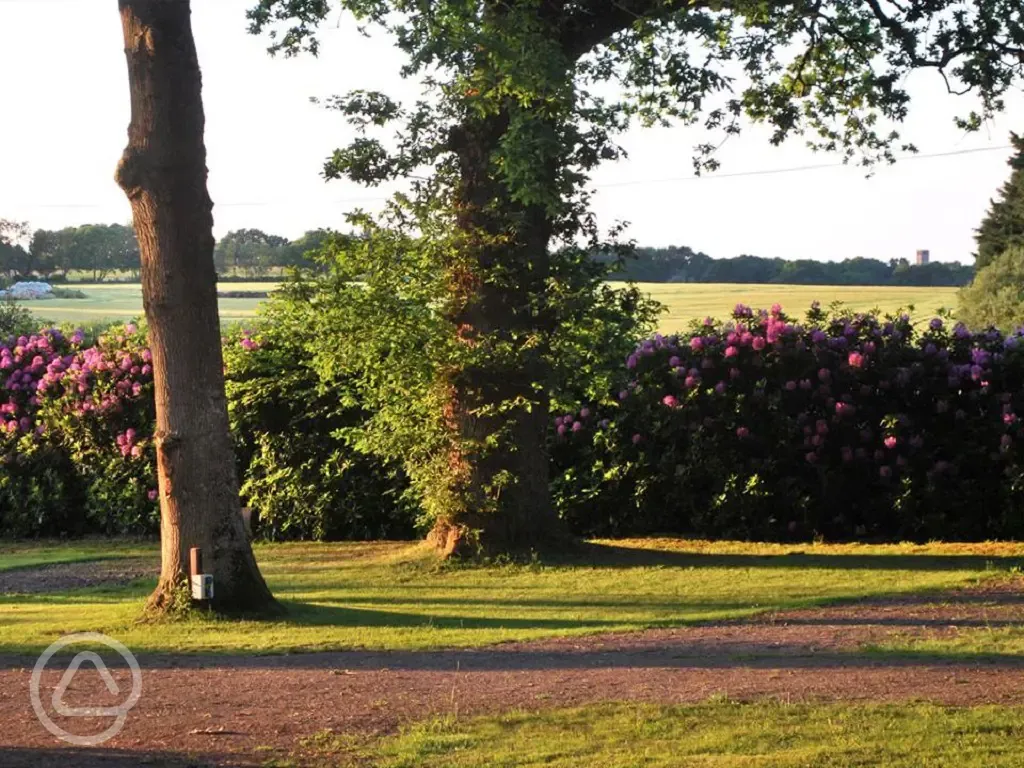 Electric hardstanding pitches with 10 amp electric hook up