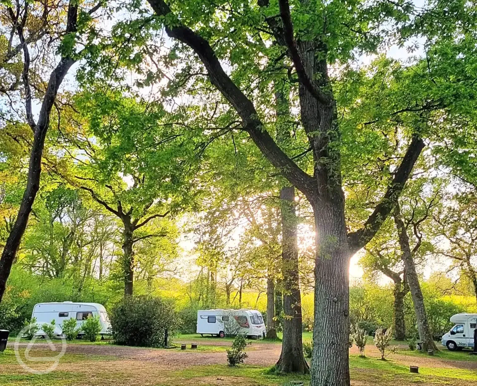 Electric hardstanding pitches with 10 amp electric hook up