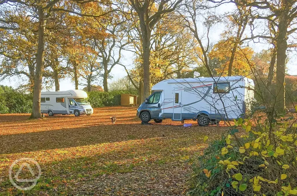 Motorhomes on electric hardstanding pitches