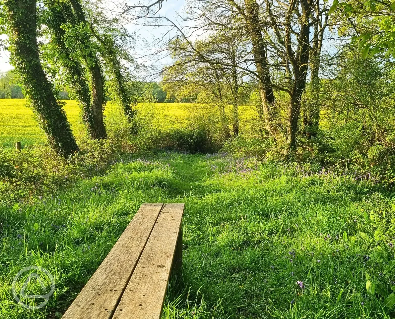 Picnic bench at Dapplewood with countryside views