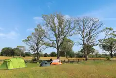 Grass tent pitches