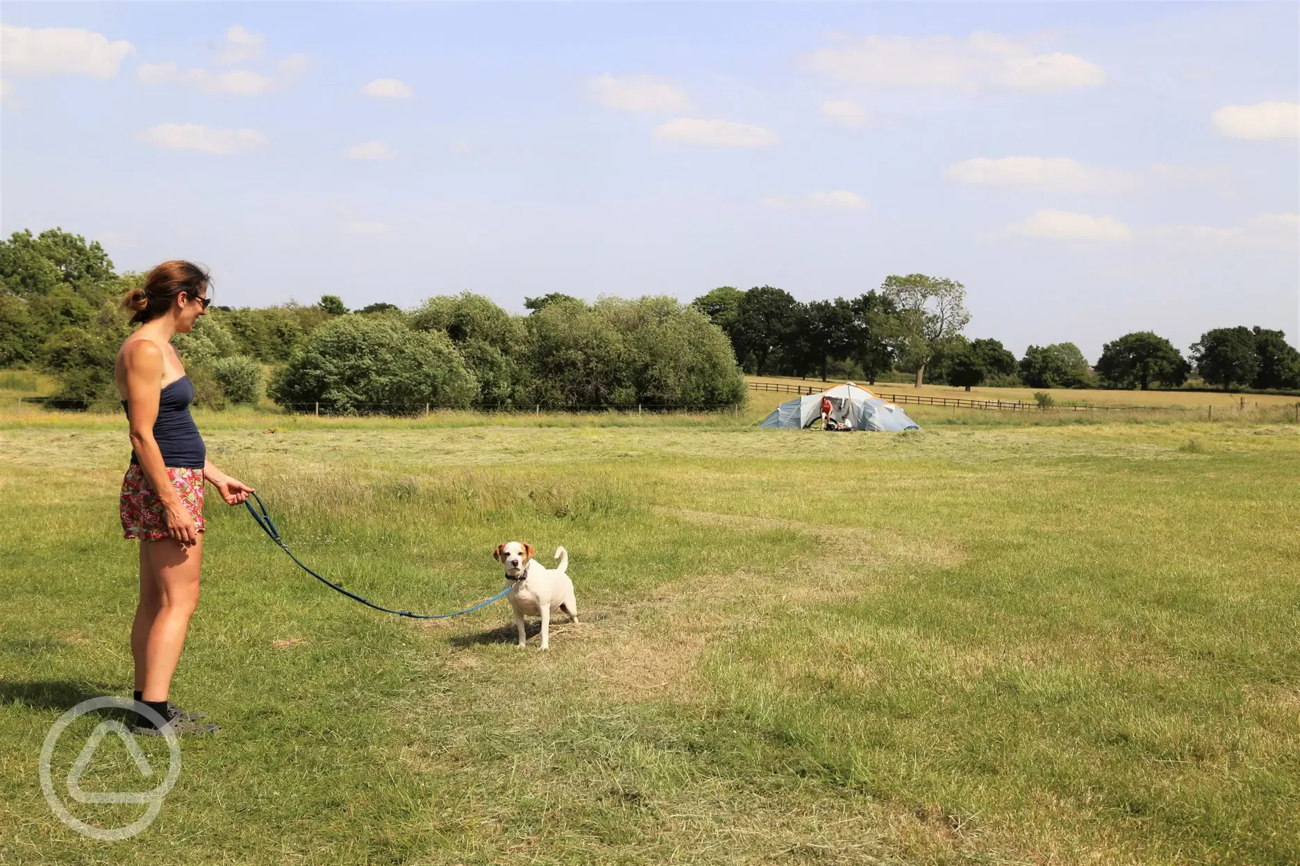 Grass tent pitches - dog friendly