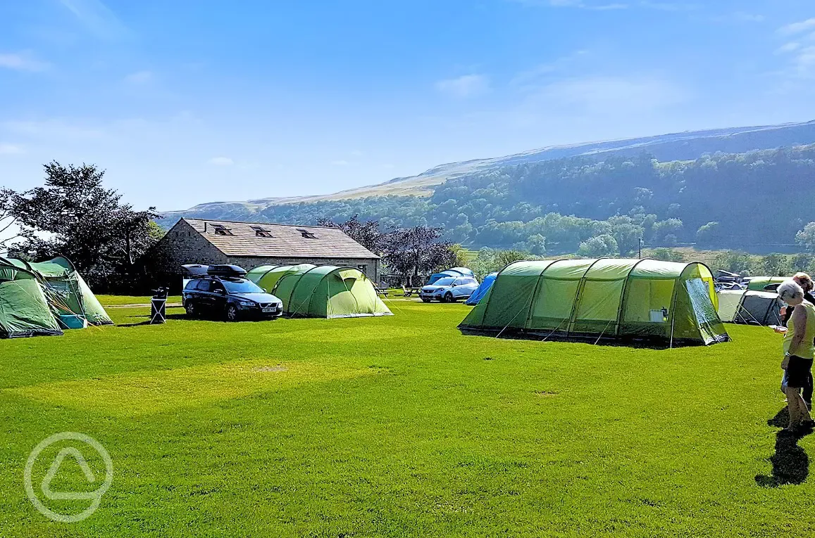 Grass pitches