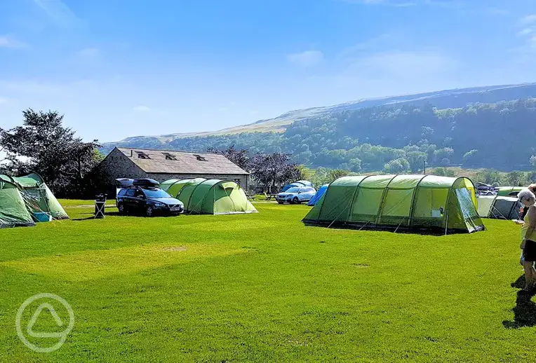 Grass pitches