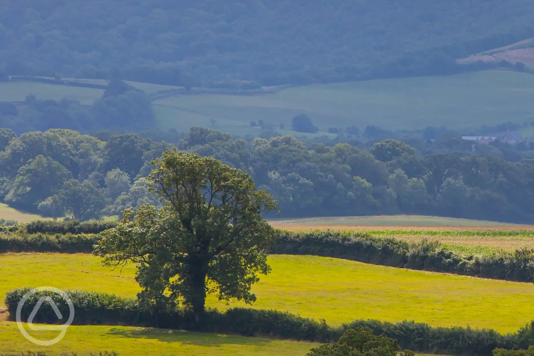 Farm views