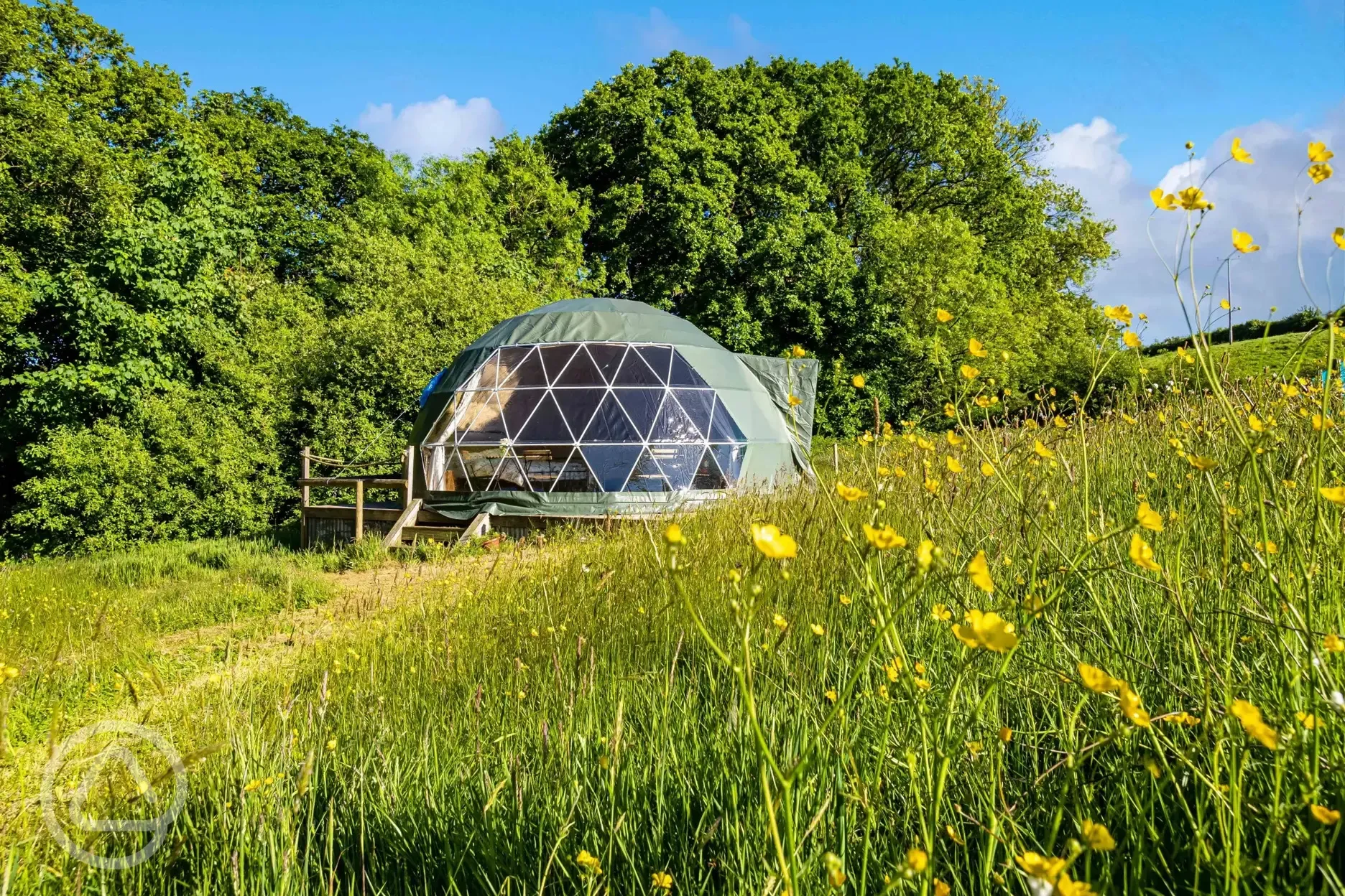 Woodland glamping dome