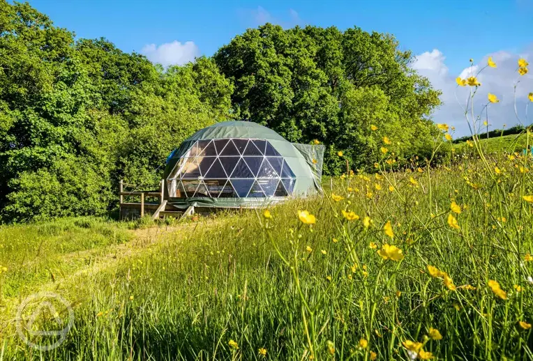 Woodland glamping dome