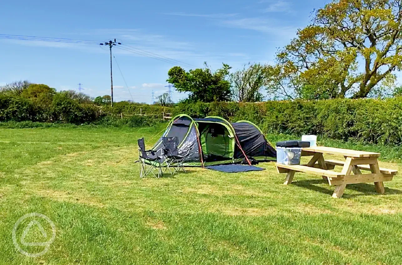 Non electric grass pitches