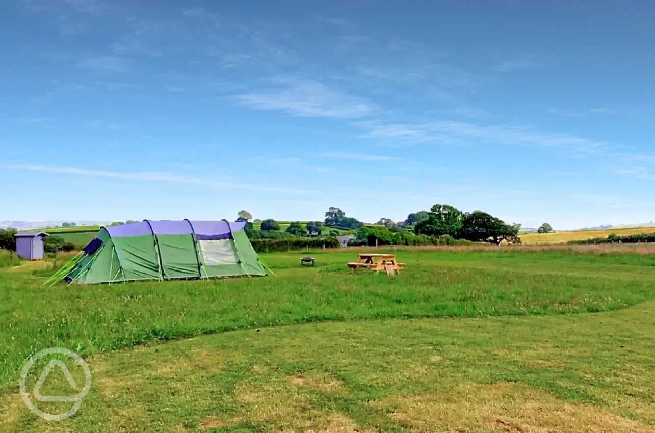 Non electric superior private grass pitch