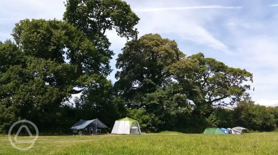 Non electric meadow camping pitches