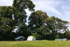 Non electric meadow camping pitches