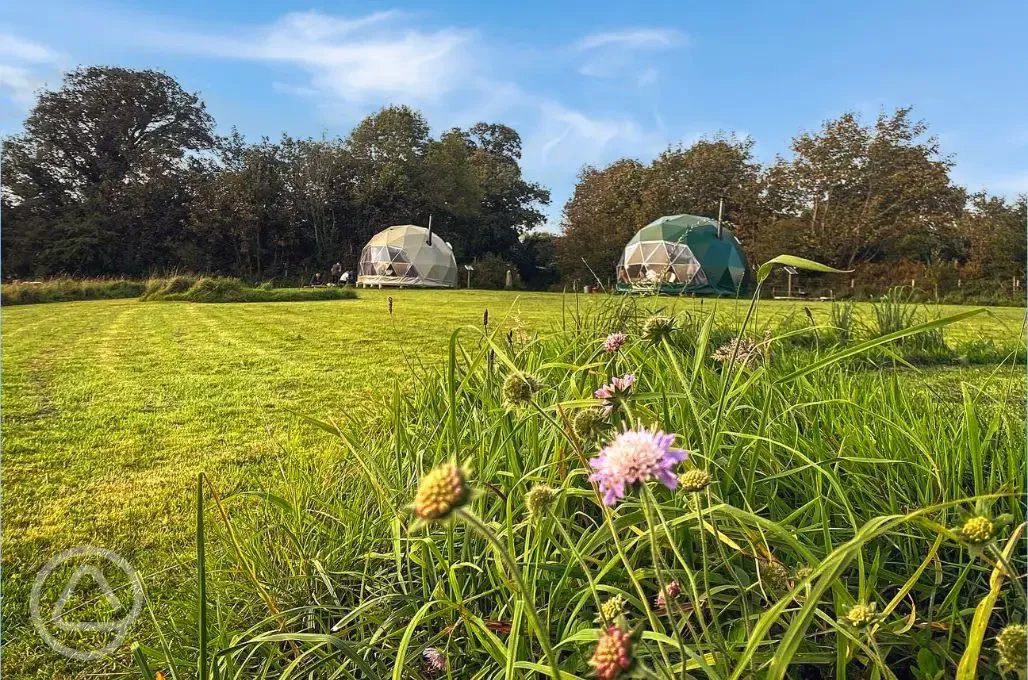 Nature domes 