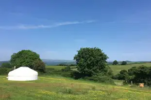 Devon Yurt, Kelly, Lifton, Devon