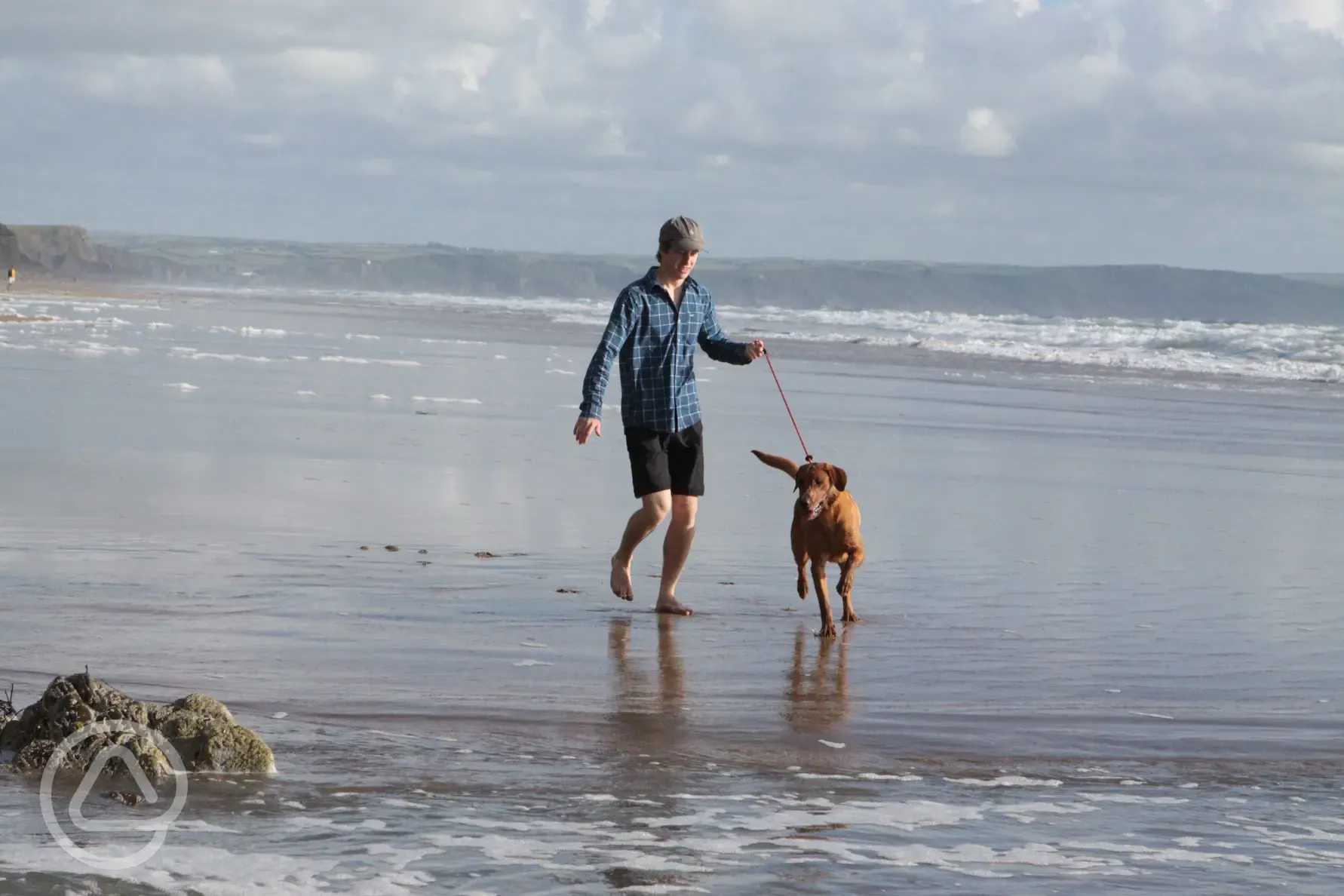 Dog friendly coastline