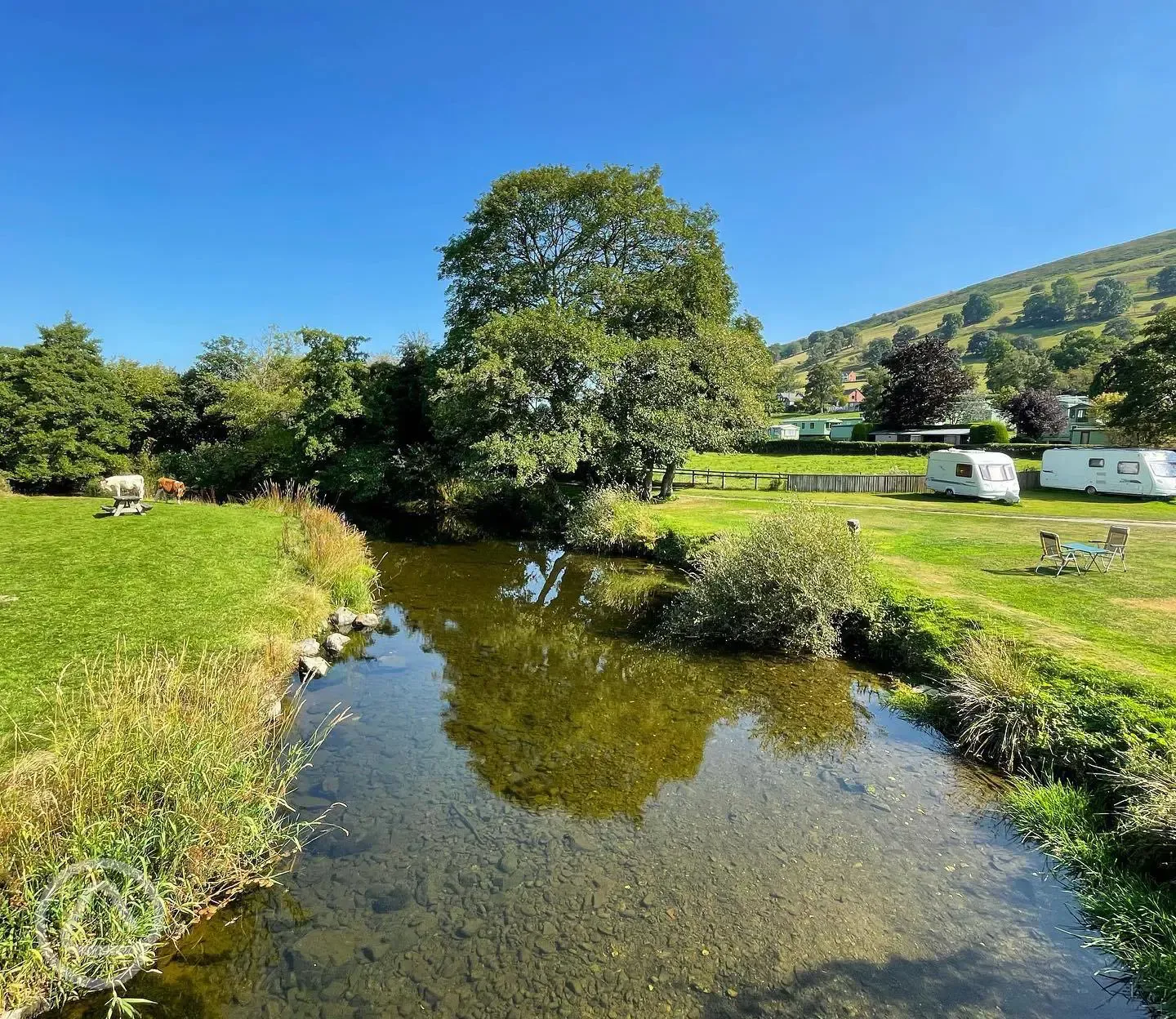 River Tanat running through the site