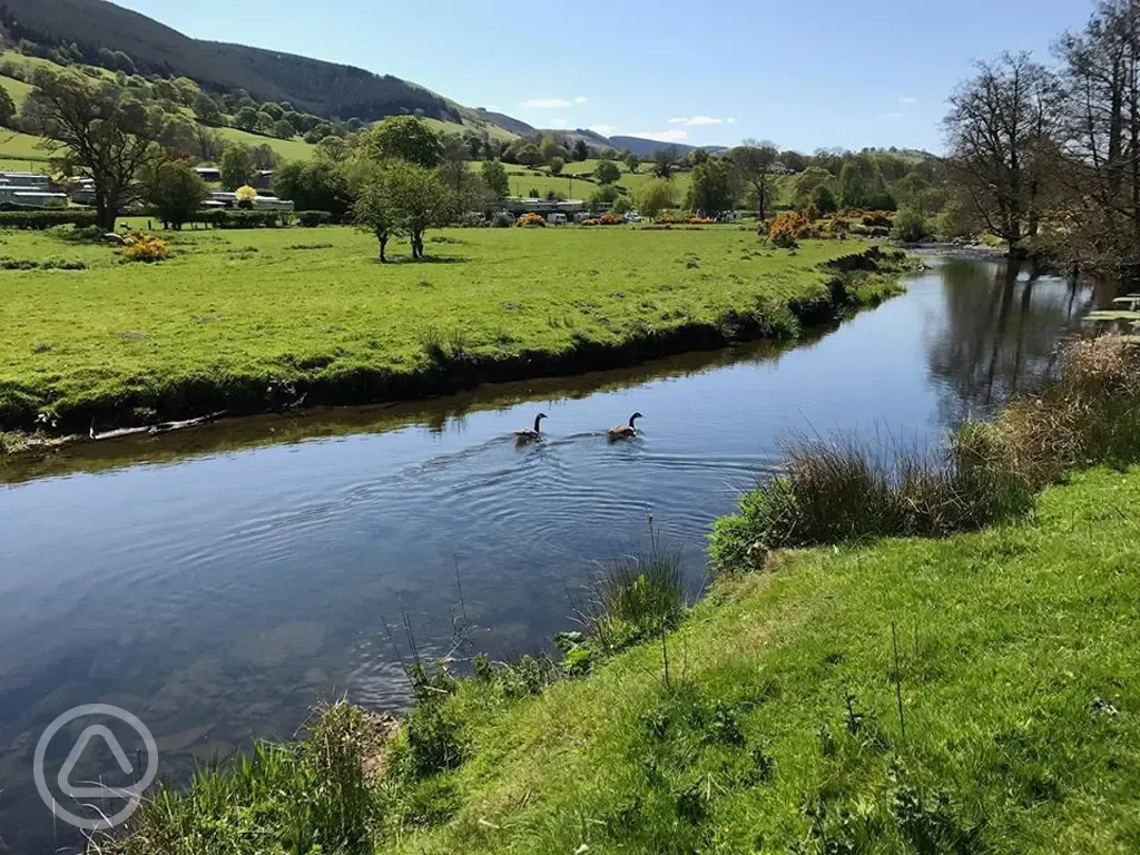 River Tanat running through the site