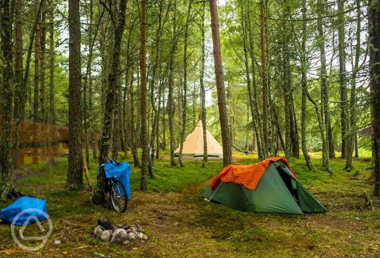 Woodland camping Ace Hideaways