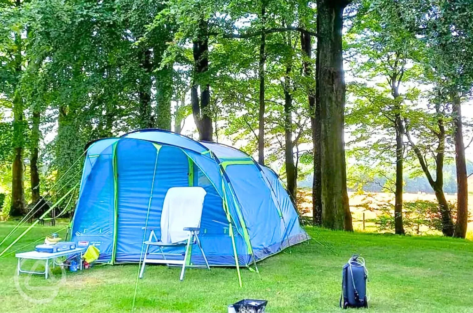 Fully serviced grass pitches with 16 amp hook up