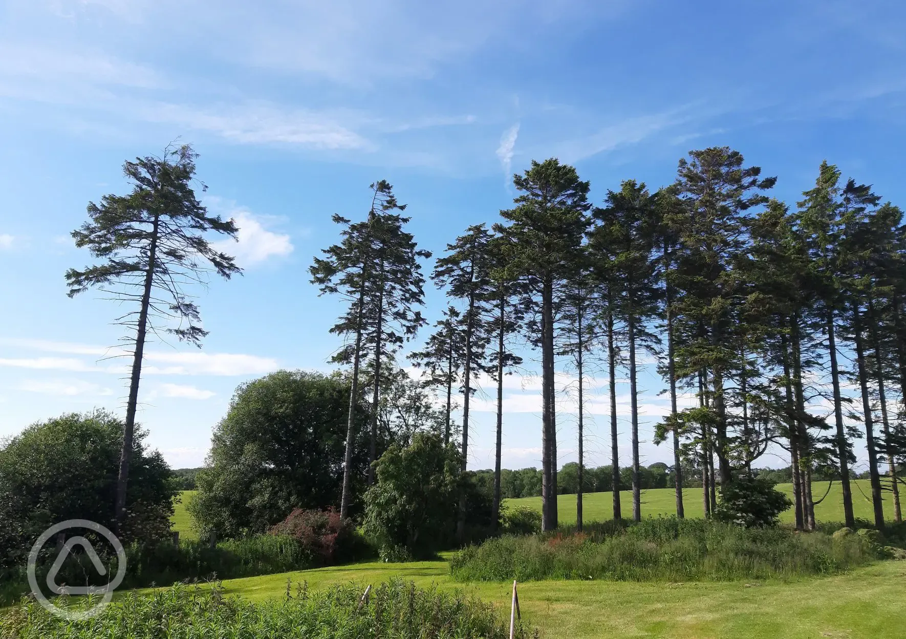 Views from The Larches Caravan Park