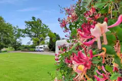 Fully serviced hardstanding pitches with 16 amp hook up Fully serviced hardstanding pitches with 16 amp hook up