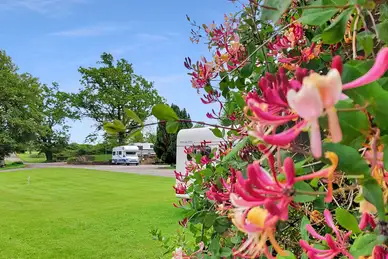 The Larches Caravan Park